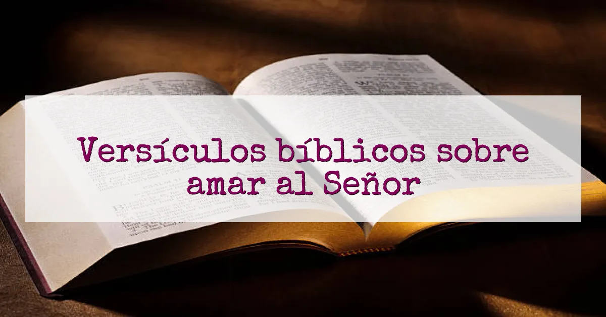 Versículos bíblicos sobre amar al Señor