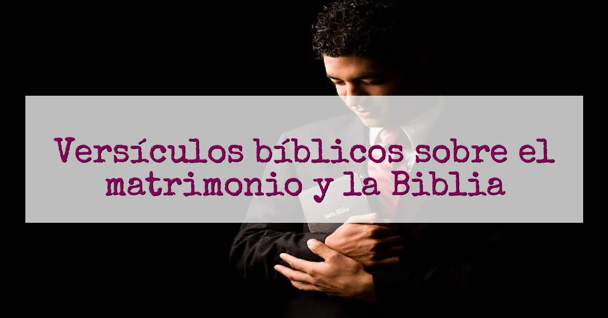 Versículos bíblicos sobre el matrimonio y la Biblia
