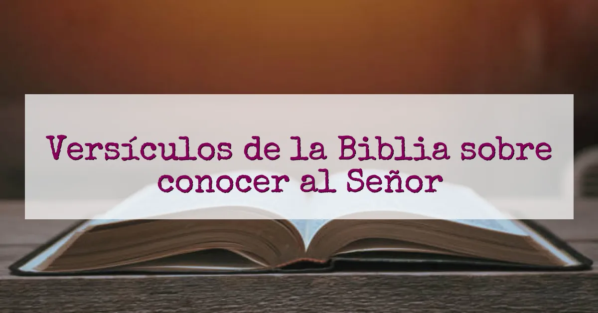 Versículos de la Biblia sobre conocer al Señor