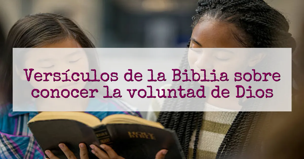 Versículos de la Biblia sobre conocer la voluntad de Dios