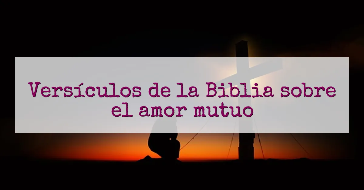 Versículos de la Biblia sobre el amor mutuo