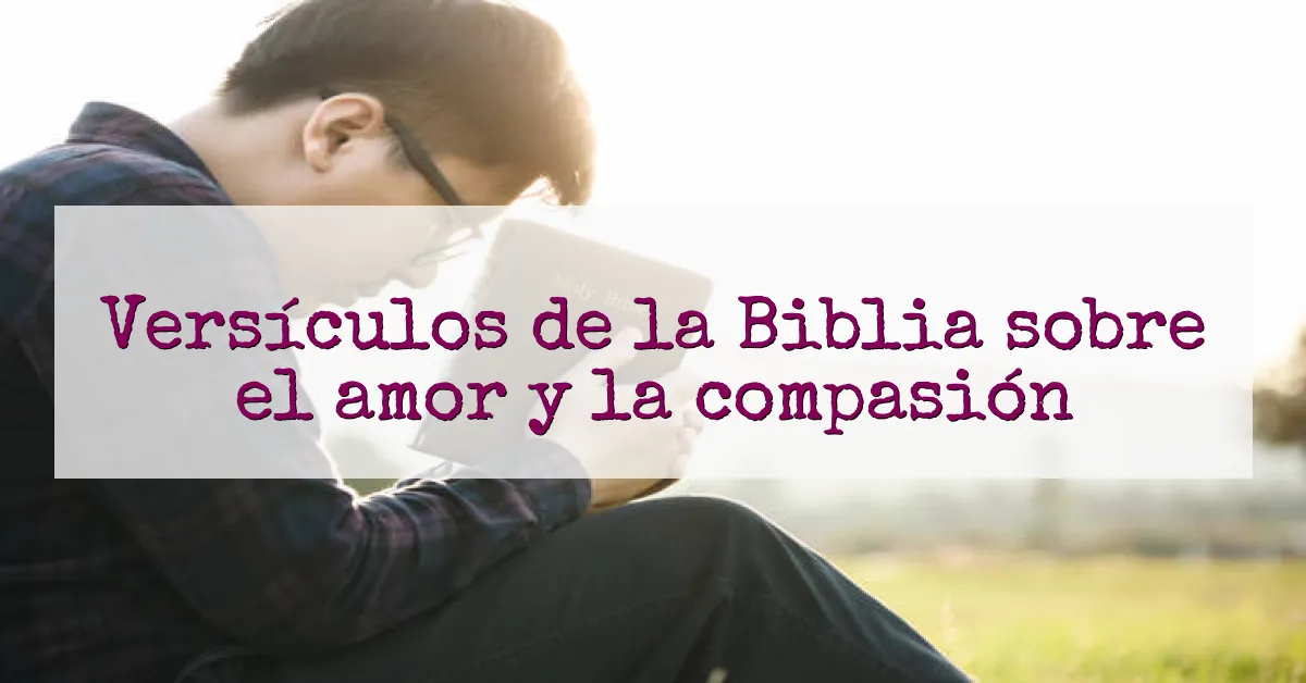 Versículos de la Biblia sobre el amor y la compasión