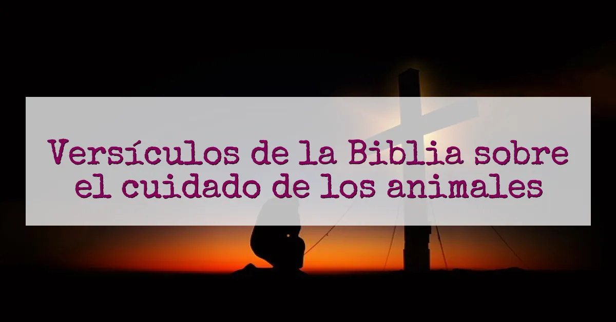 Versículos de la Biblia sobre el cuidado de los animales