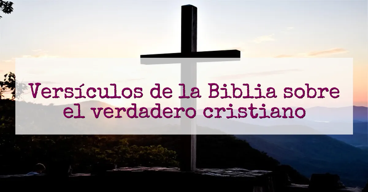Versículos de la Biblia sobre el verdadero cristiano