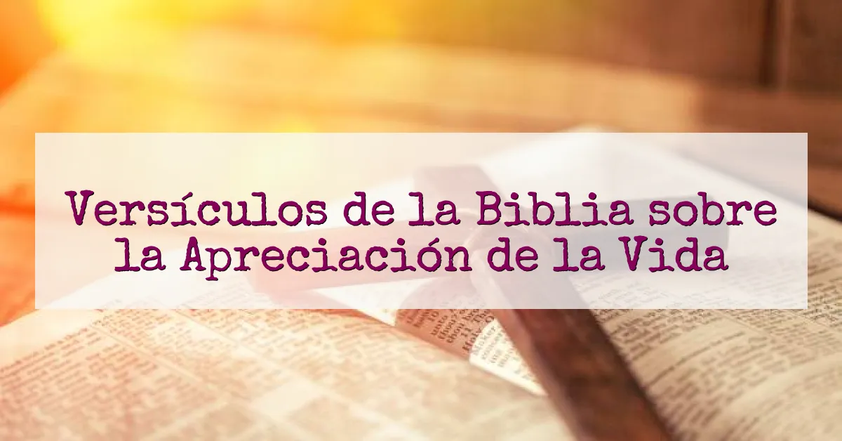 Versículos de la Biblia sobre la Apreciación de la Vida