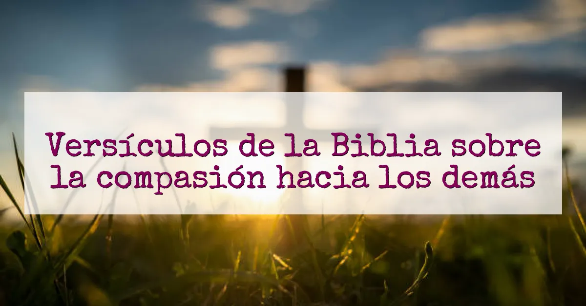 Versículos de la Biblia sobre la compasión hacia los demás