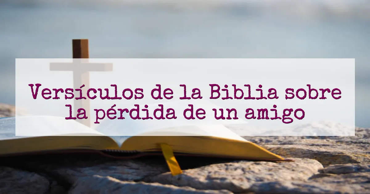 Versículos de la Biblia sobre la pérdida de un amigo