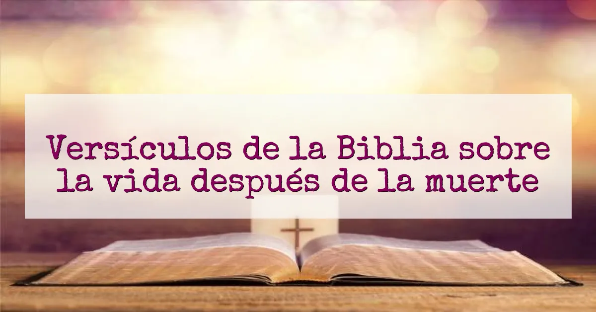 Versículos de la Biblia sobre la vida después de la muerte