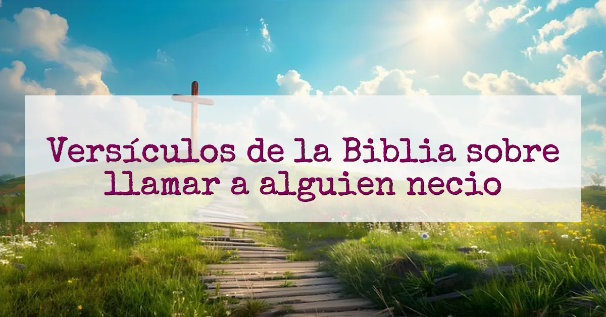Versículos de la Biblia sobre llamar a alguien necio