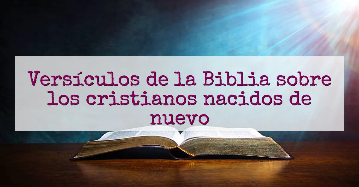 Versículos de la Biblia sobre los cristianos nacidos de nuevo