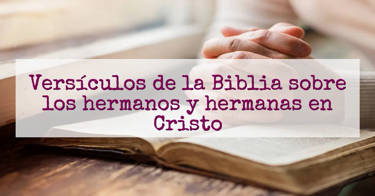 Versículos de la Biblia sobre los hermanos y hermanas en Cristo
