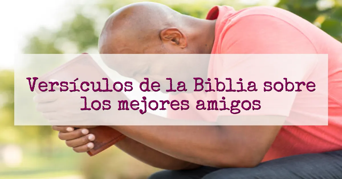 Versículos de la Biblia sobre los mejores amigos