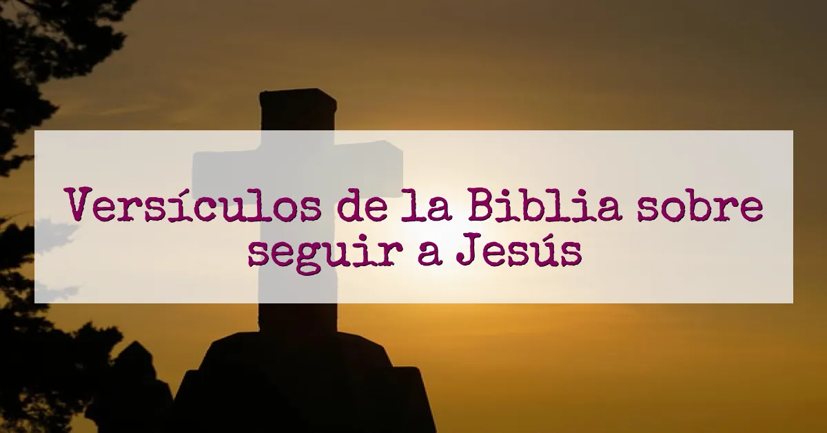 Versículos de la Biblia sobre seguir a Jesús