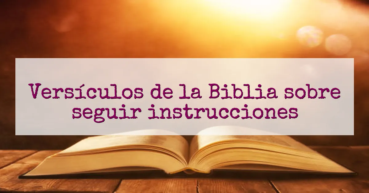 Versículos de la Biblia sobre seguir instrucciones