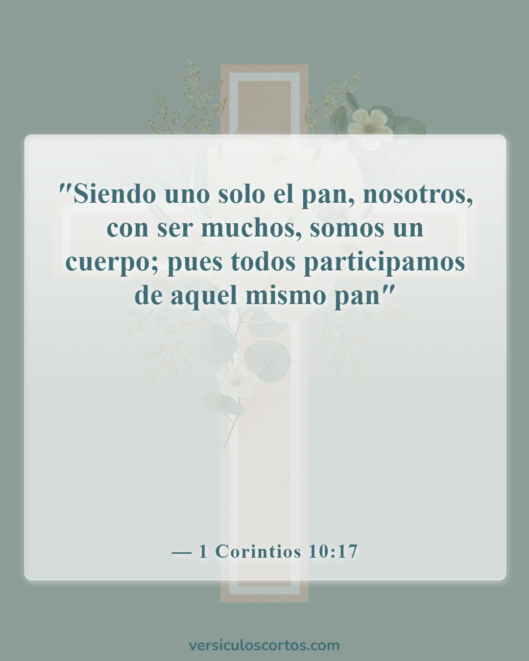 Versículos de la Biblia sobre reunirse juntos (1 Corintios 10:17)