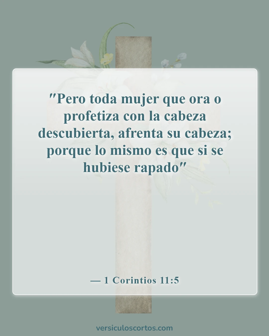Versículos de la Biblia sobre el velo (1 Corintios 11:5)