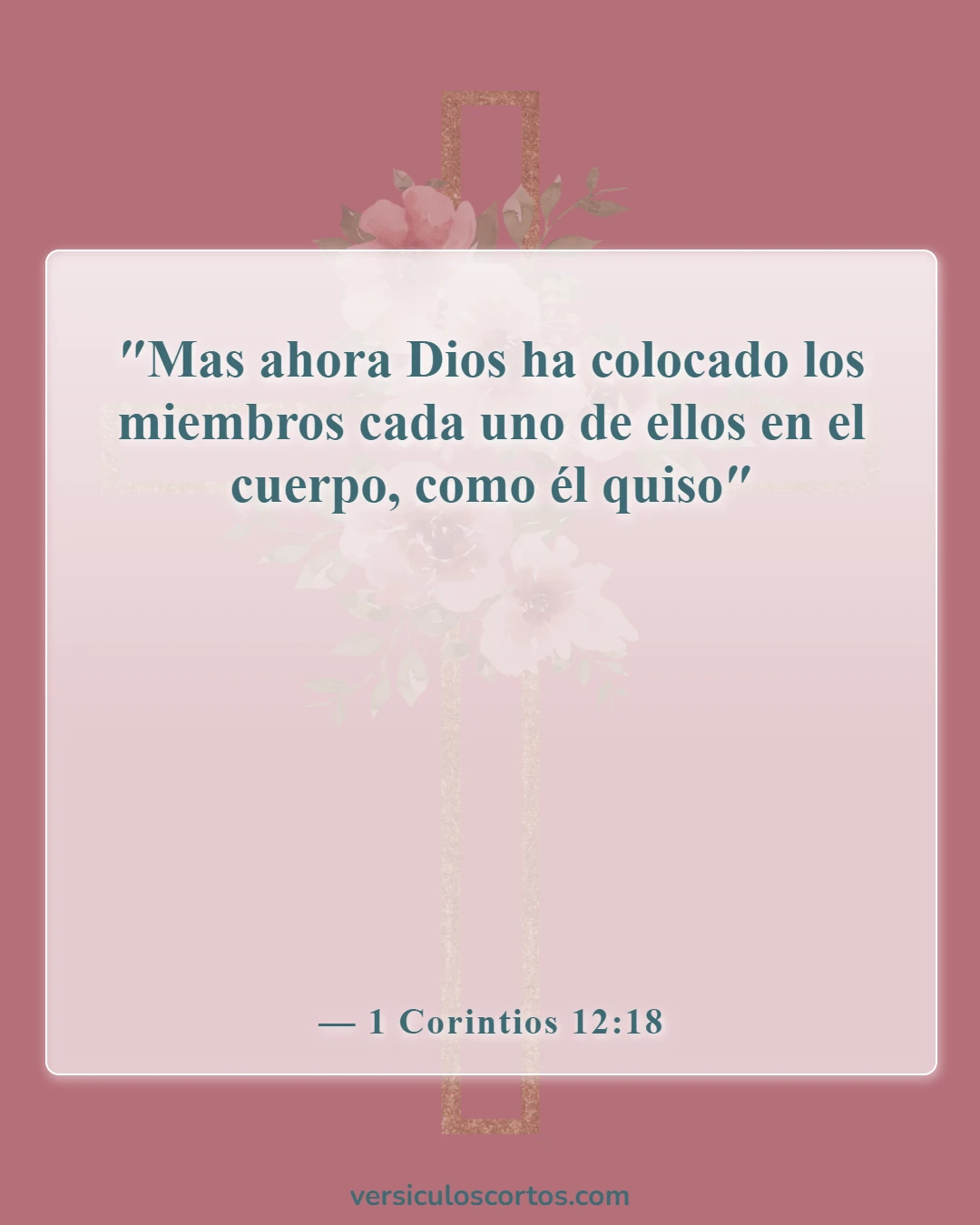 Versículos de la Biblia sobre los dones espirituales (1 Corintios 12:18)