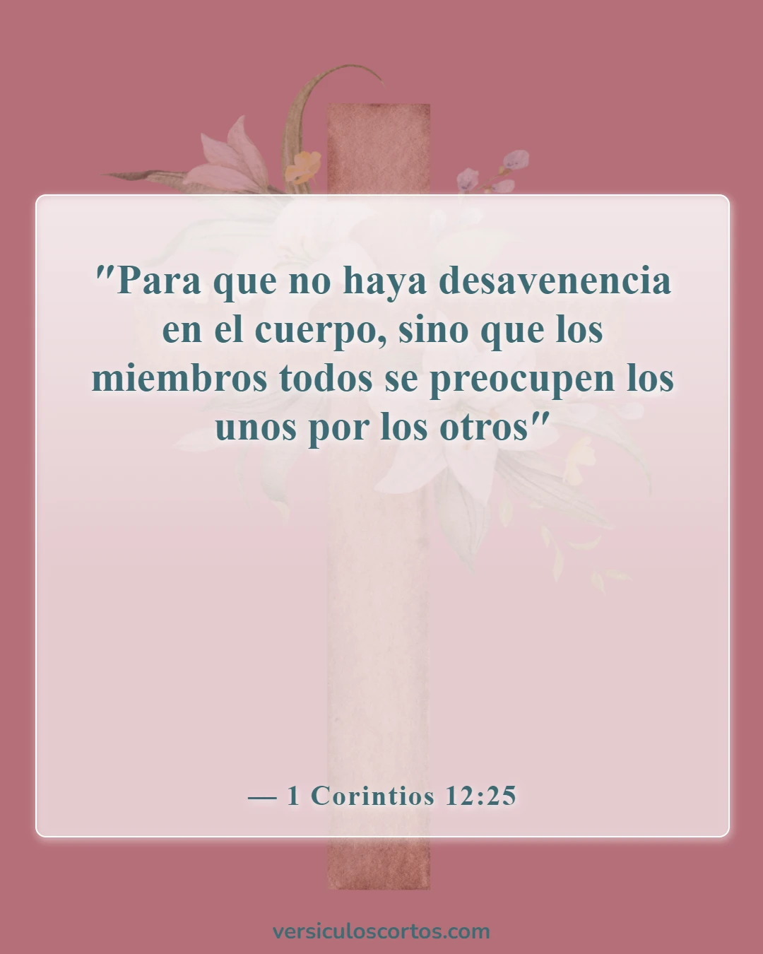 Versículos de la Biblia sobre los dones espirituales (1 Corintios 12:25)
