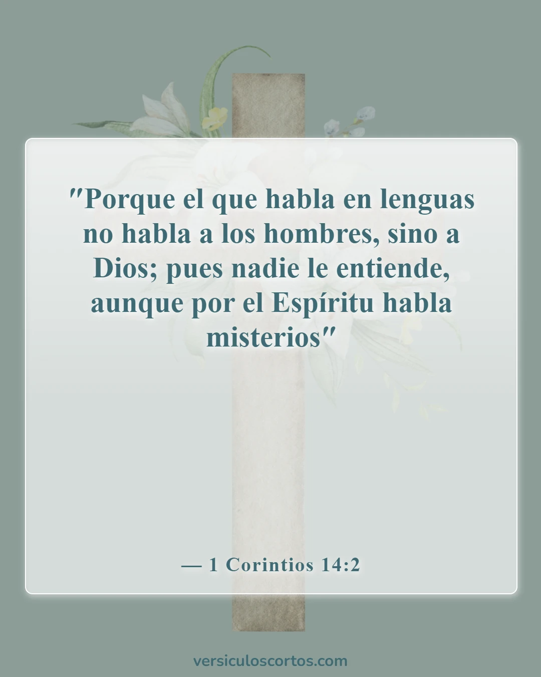 Versículos de la Biblia sobre recibir el Espíritu Santo (1 Corintios 14:2)