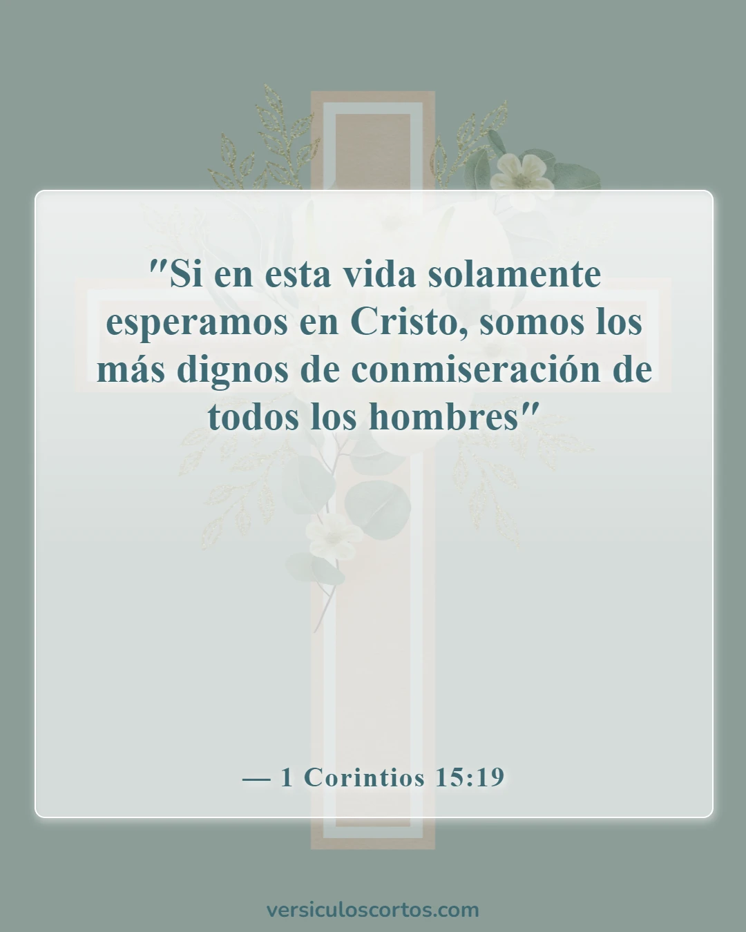 Versículos bíblicos sobre encontrar esperanza (1 Corintios 15:19)