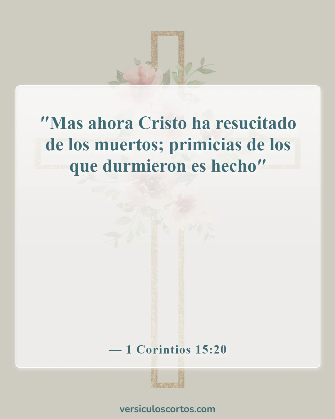 Versículos de la Biblia sobre la Resurrección de Cristo (1 Corintios 15:20)