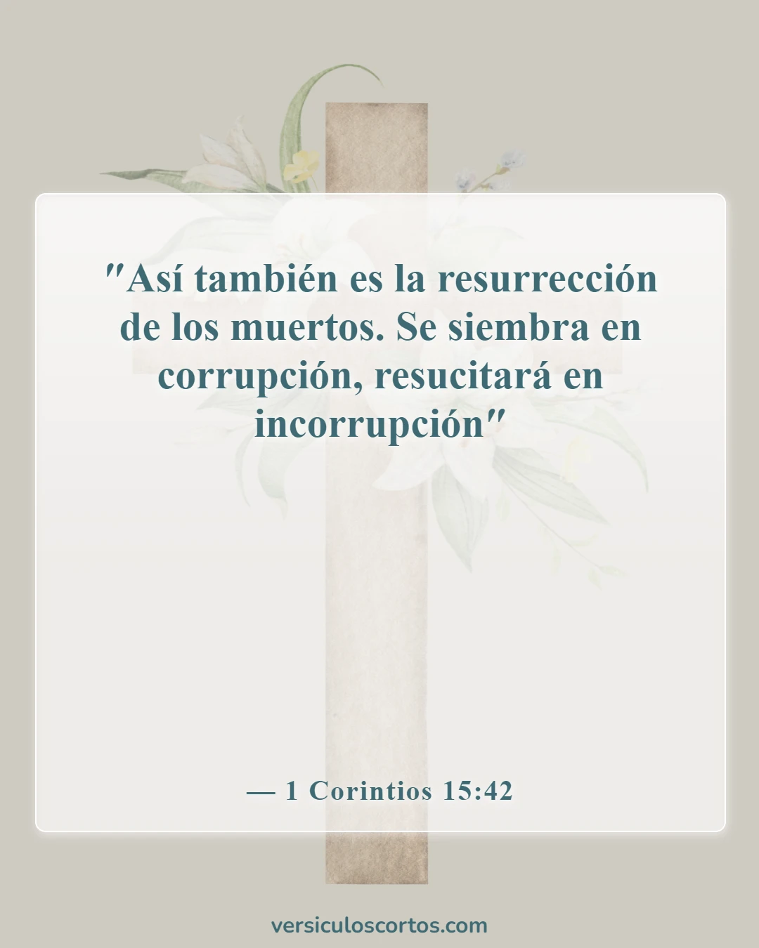 Versículos de la Biblia sobre la vida después de la muerte (1 Corintios 15:42)