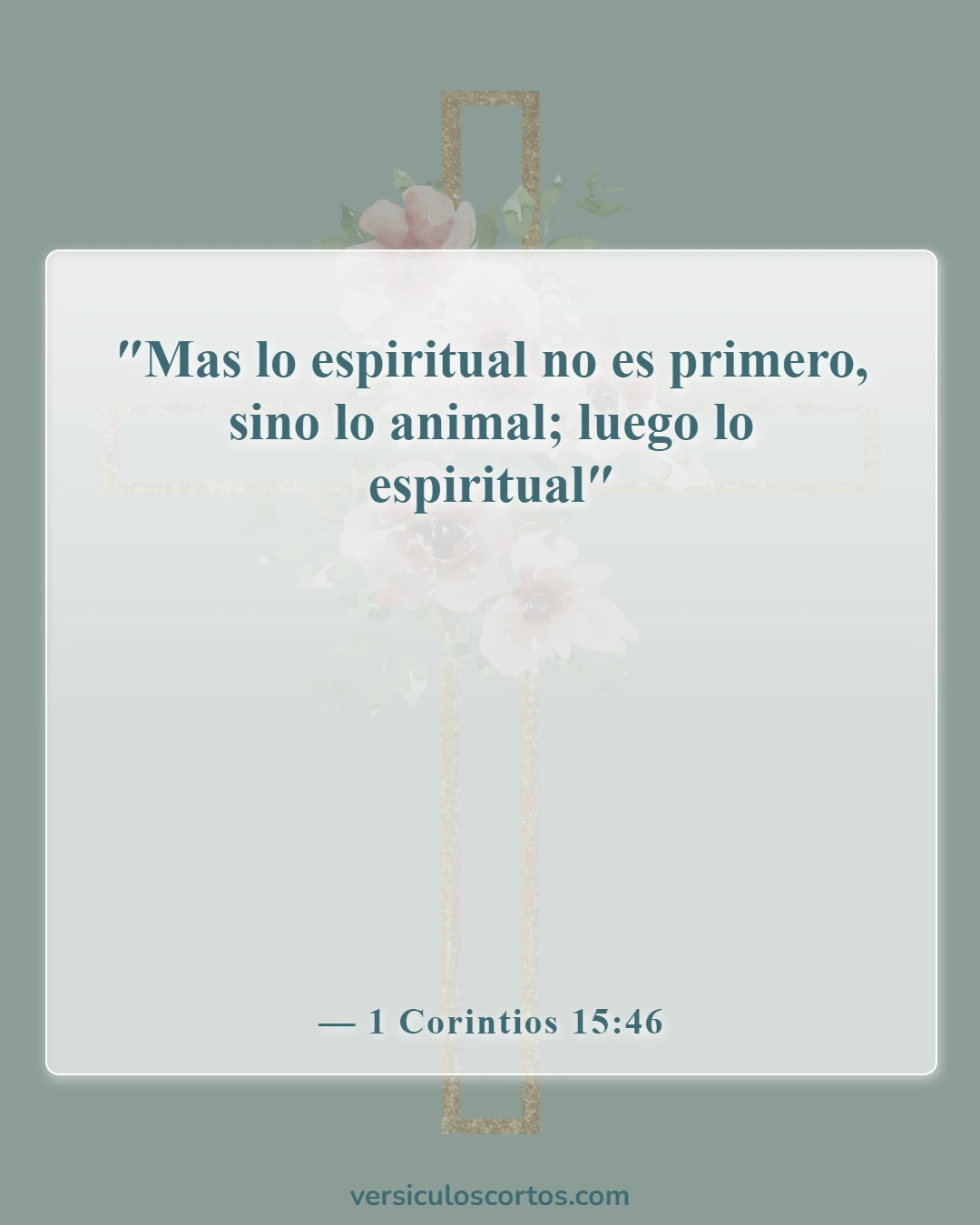 Versículos Bíblicos Sobre Cuerpos Glorificados (1 Corintios 15:46)