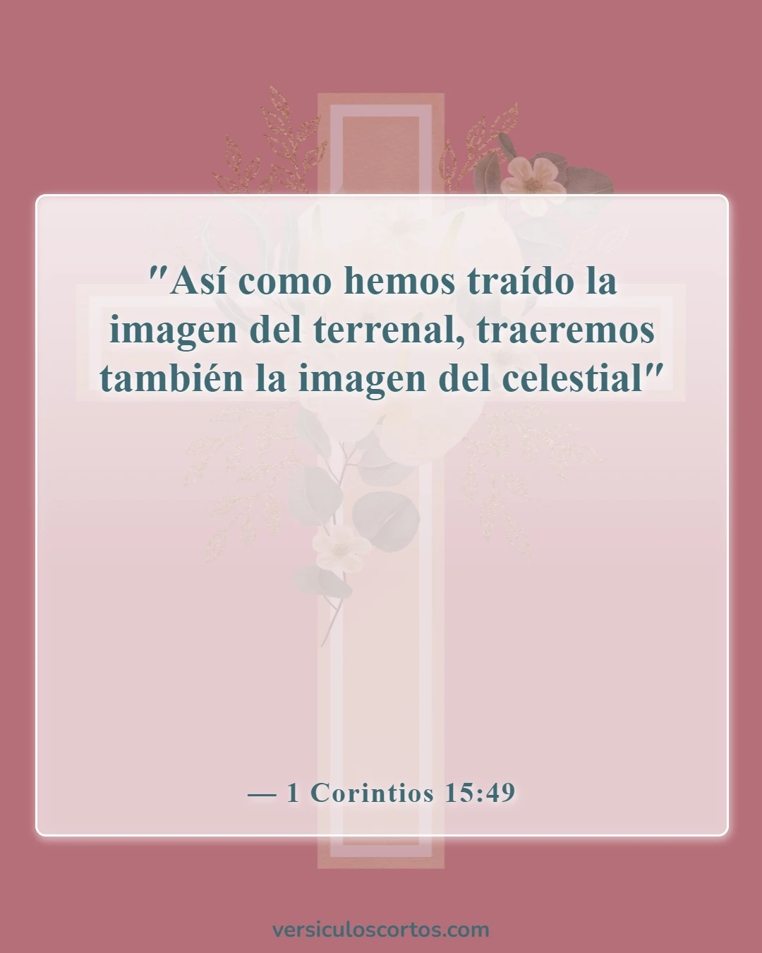 Versículos bíblicos sobre personas en el cielo (1 Corintios 15:49)