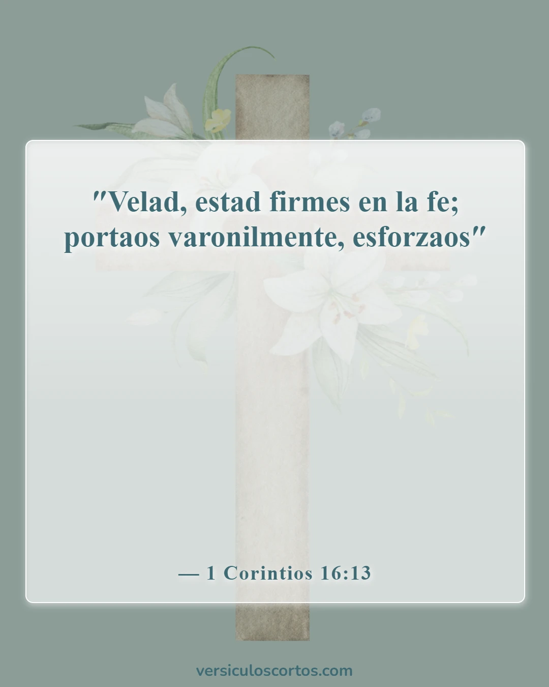 Versículos de la Biblia sobre salir con un no creyente (1 Corintios 16:13)