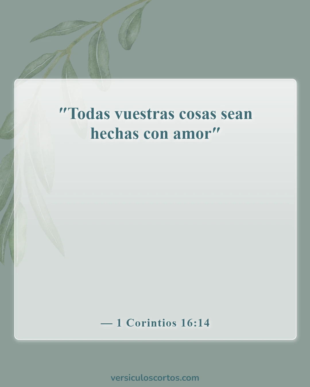 Versículos de la Biblia sobre perdonar a tus enemigos (1 Corintios 16:14)