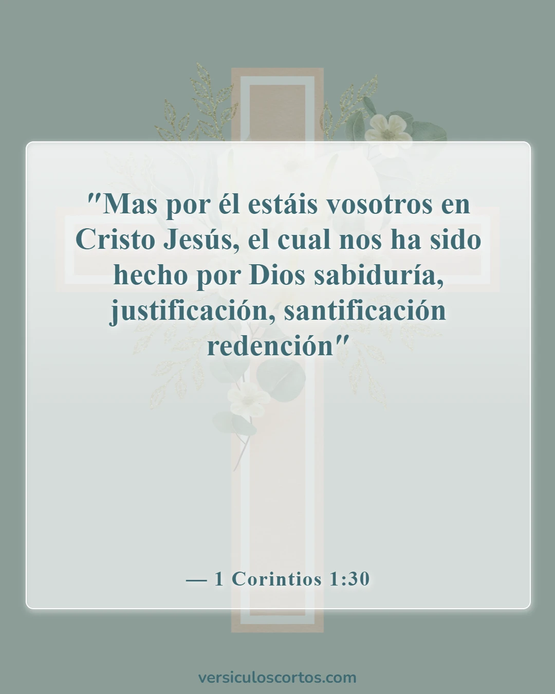 Versículos bíblicos sobre Cristo (1 Corintios 1:30)