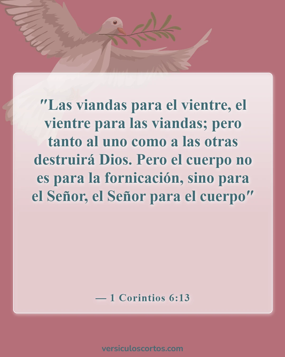 Versículos de la Biblia sobre novios y novias (1 Corintios 6:13)