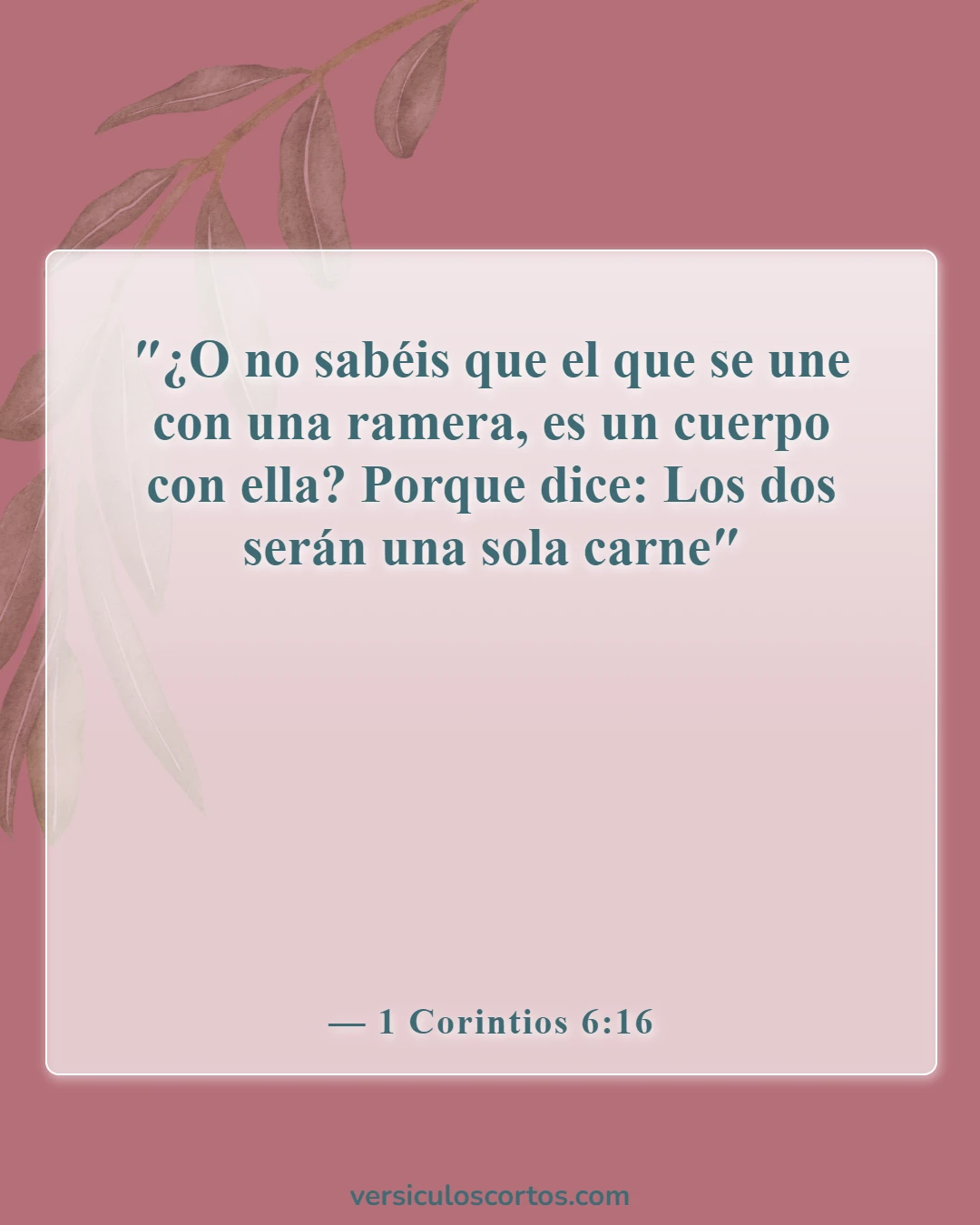 Versículos de la Biblia sobre el matrimonio y el divorcio (1 Corintios 6:16)