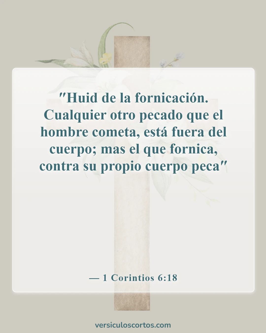 Versículos de la Biblia sobre las tentaciones (1 Corintios 6:18)