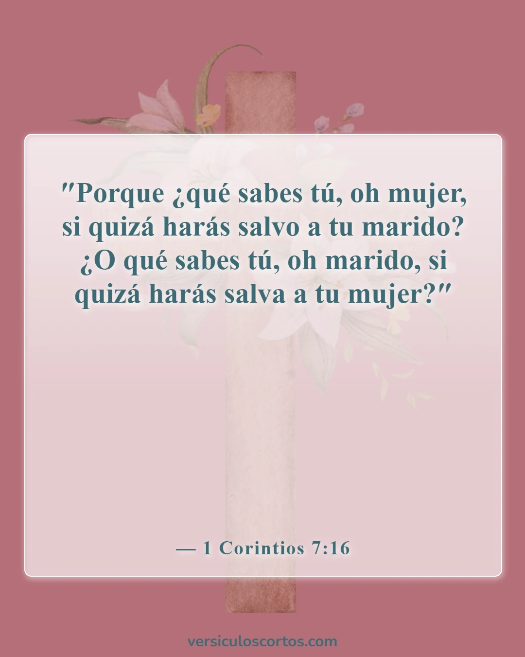 Versículos de la Biblia sobre salir con un no creyente (1 Corintios 7:16)