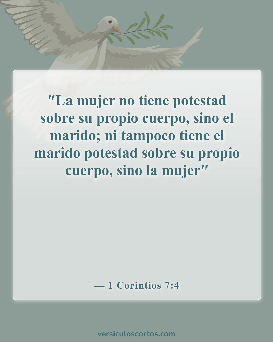 Versículos de la Biblia sobre el divorcio (1 Corintios 7:4)