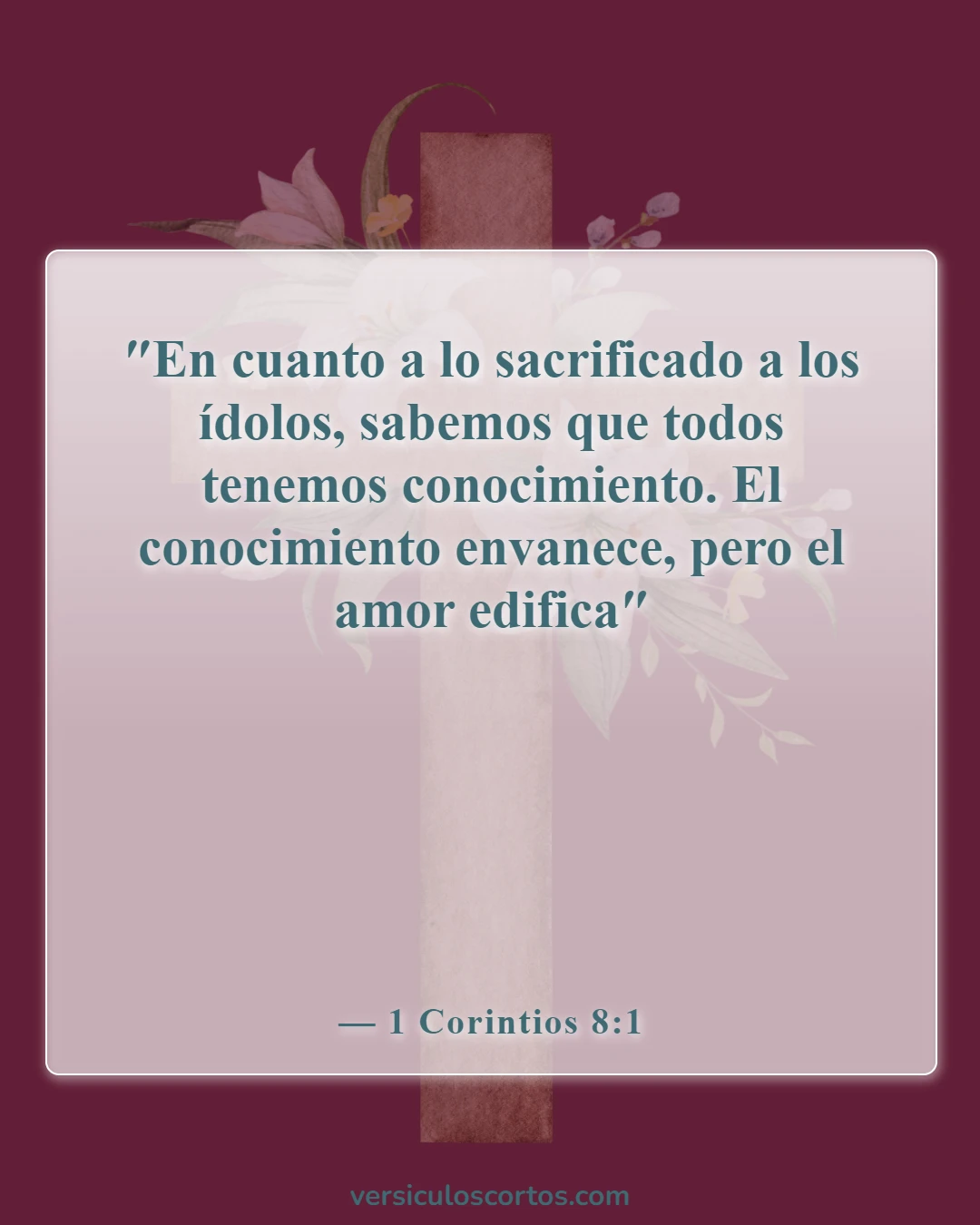 Versículos de la Biblia sobre conocer el bien del mal (1 Corintios 8:1)