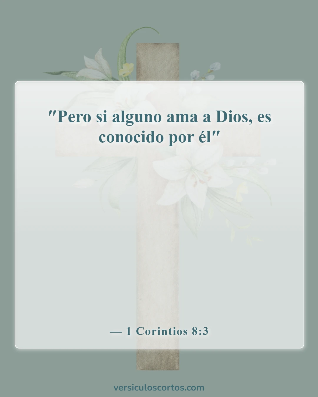 Versículos bíblicos sobre amar al Señor (1 Corintios 8:3)