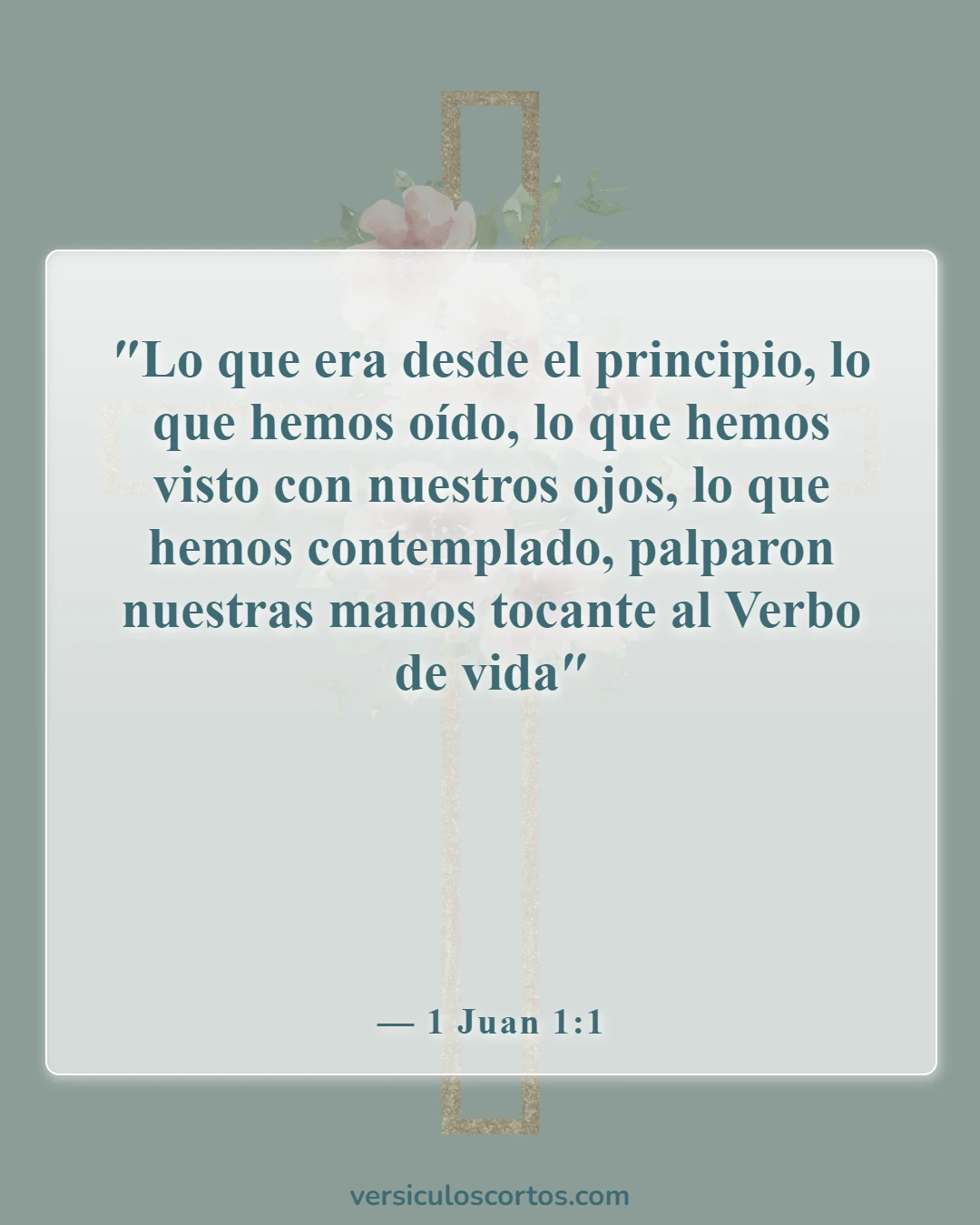 Versículos de la Biblia sobre el hombre de Dios (1 Juan 1:1)