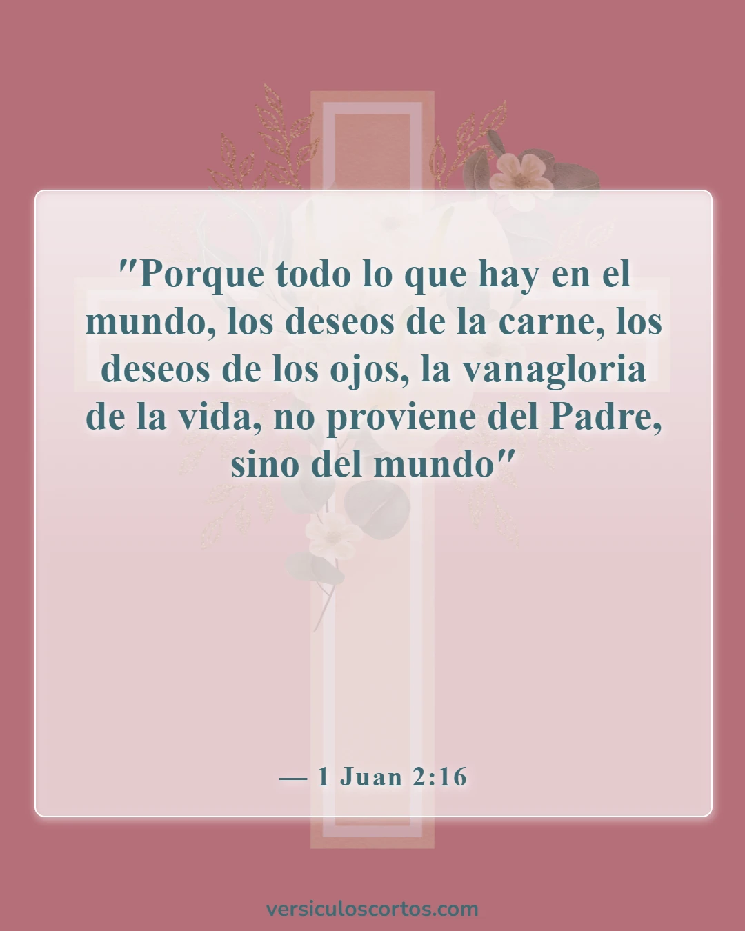 Versículos de la Biblia sobre las tentaciones (1 Juan 2:16)