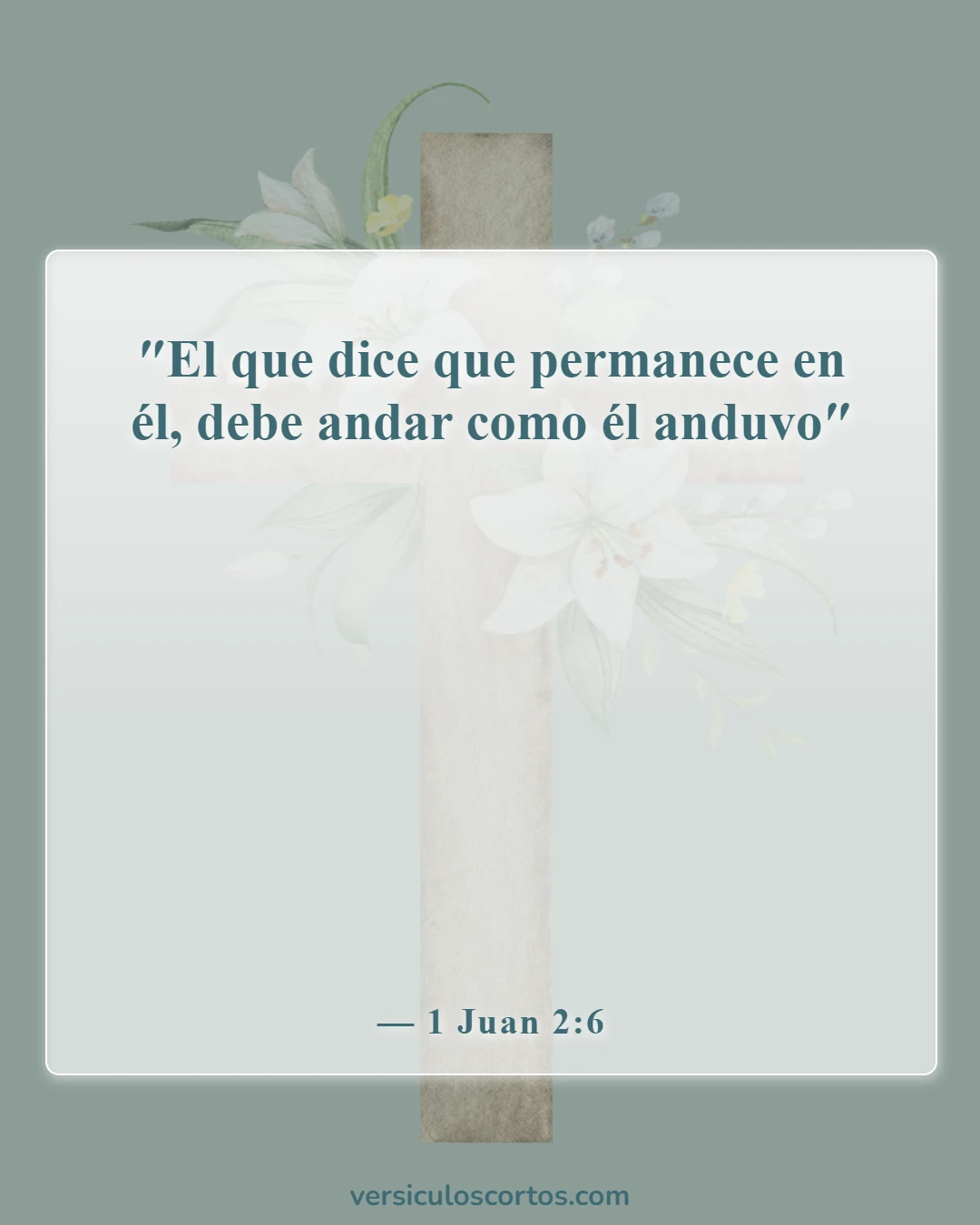 Versículos bíblicos sobre ser ejemplo para otros (1 Juan 2:6)