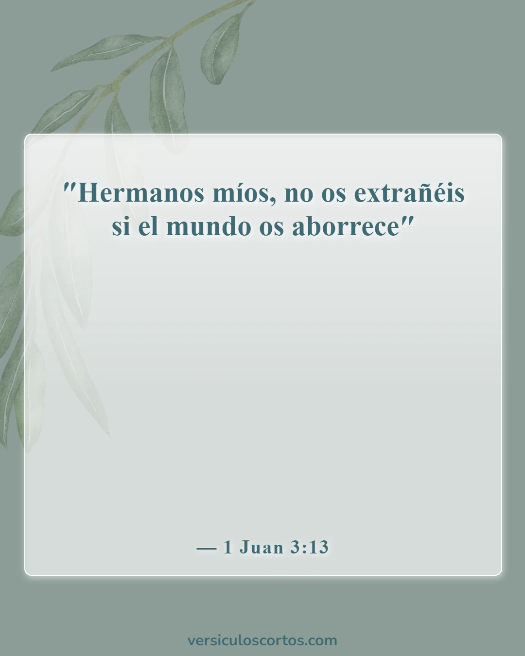 Versículos bíblicos sobre vencer al mundo (1 Juan 3:13)