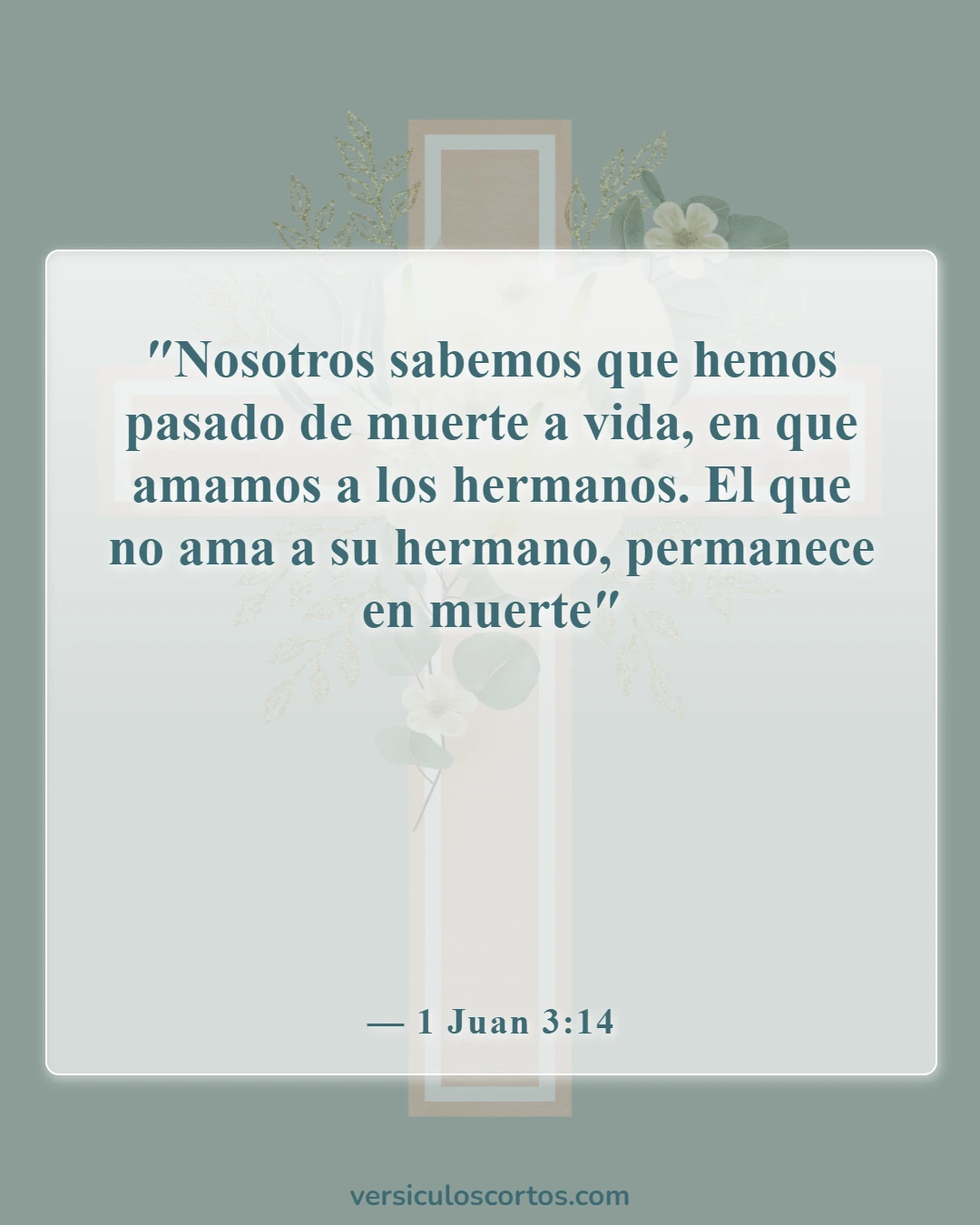 Versículos de la Biblia sobre el amor mutuo (1 Juan 3:14)