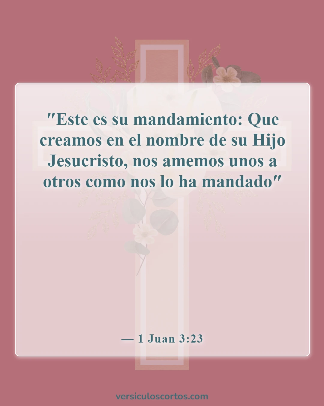 Versículos bíblicos sobre amar al Señor (1 Juan 3:23)