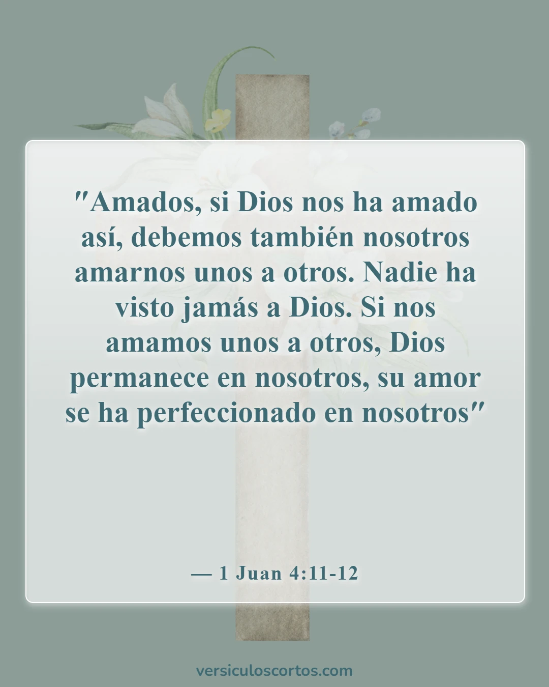 Versículos bíblicos sobre la comunión (1 Juan 4:11-12)