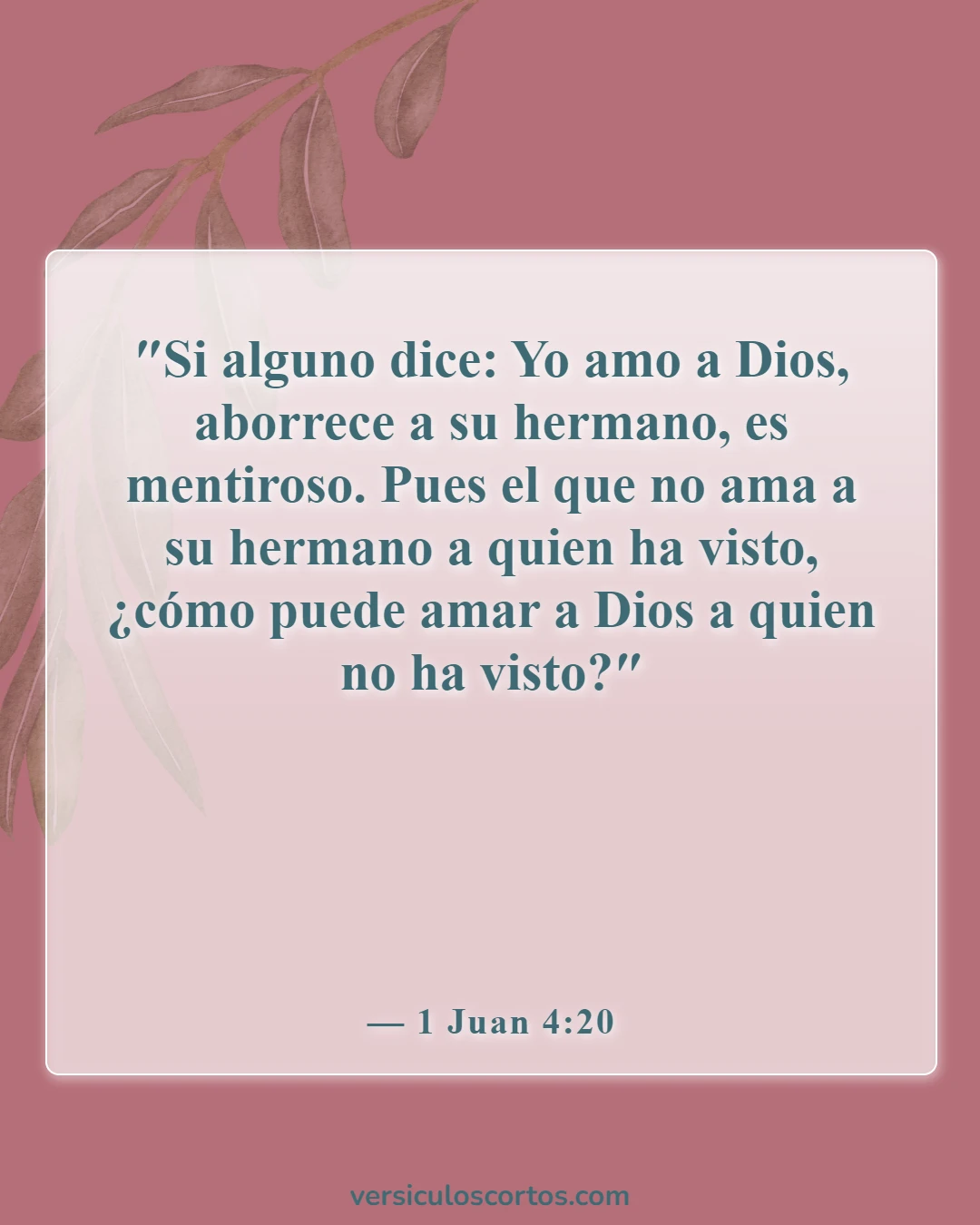 Versículos de la Biblia sobre la compasión hacia los demás (1 Juan 4:20)