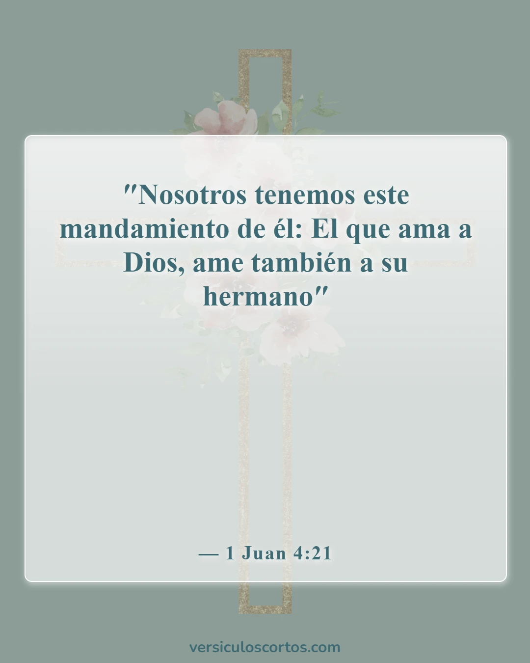 Versículos bíblicos sobre amar al Señor (1 Juan 4:21)