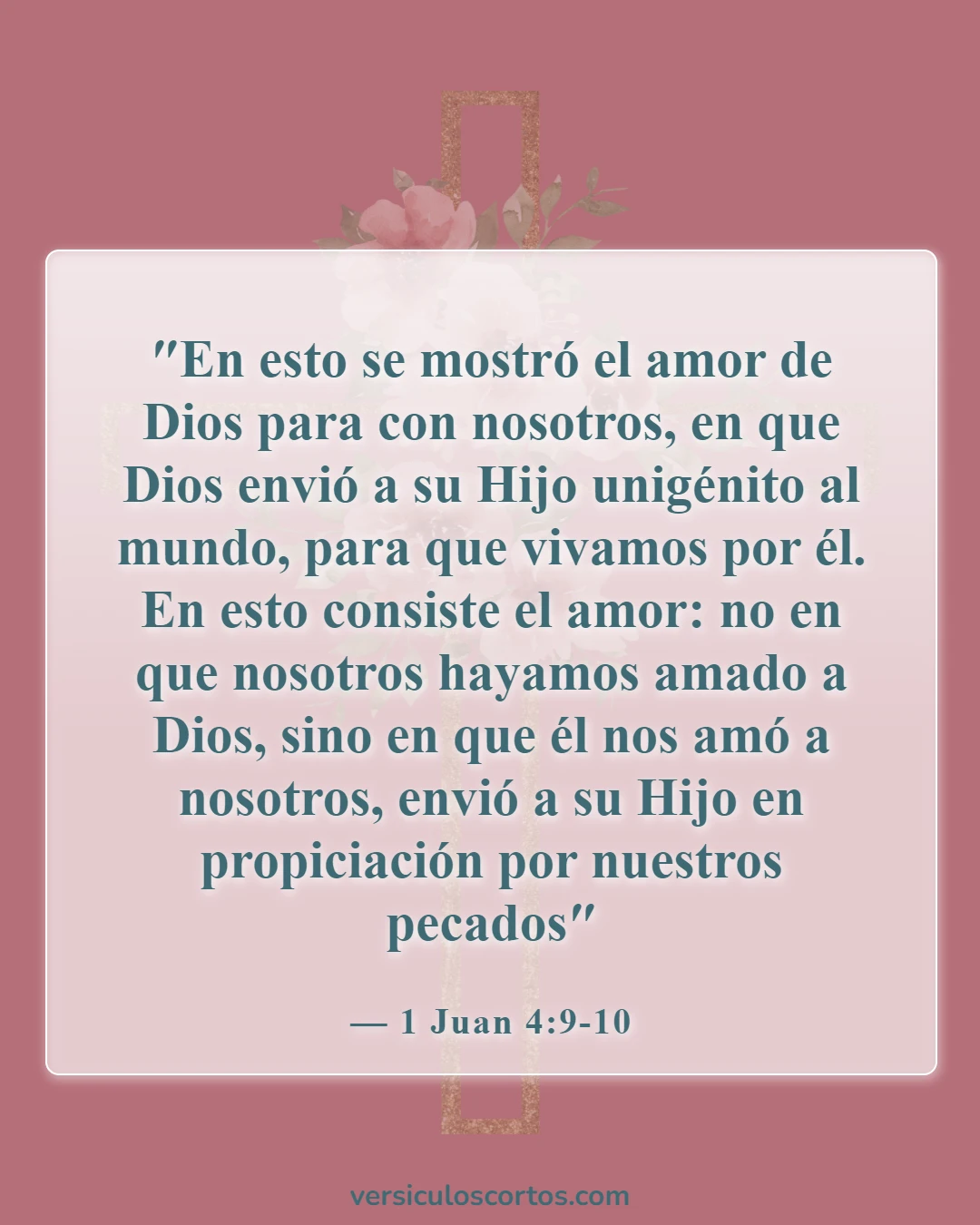 Versículos de la Biblia sobre la Apreciación de la Vida (1 Juan 4:9-10)