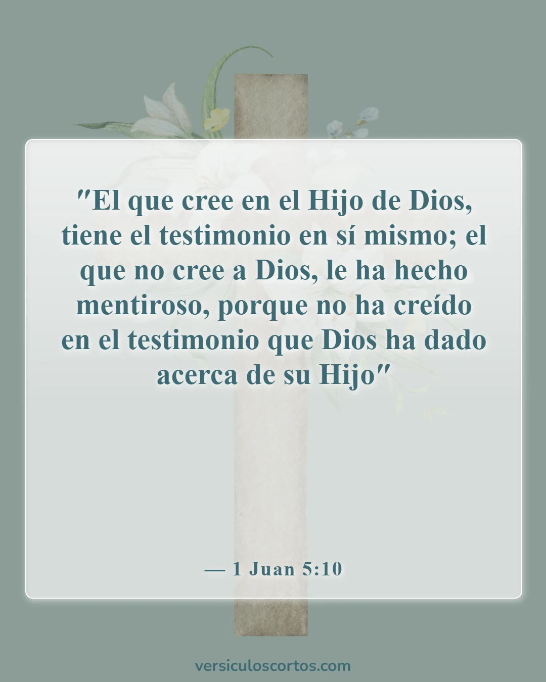 Versículos de la Biblia sobre los ateos (1 Juan 5:10)