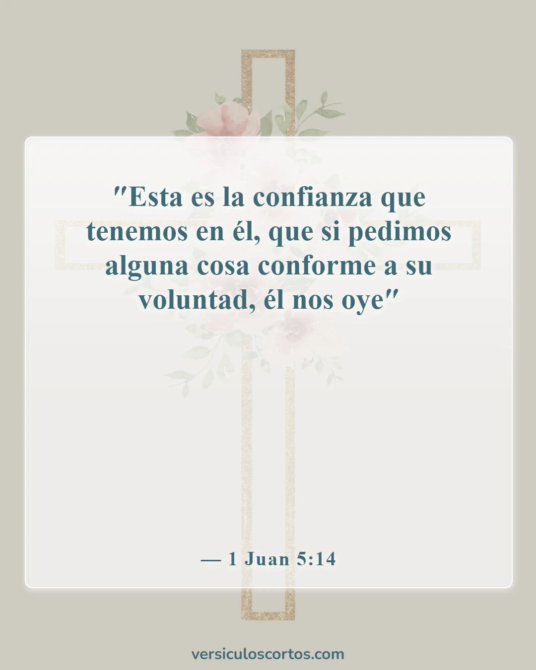 Versículos bíblicos sobre el poder de la oración (1 Juan 5:14)